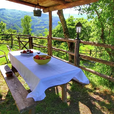 Ferienhaus Striking Farmhouse, Ortignano *
